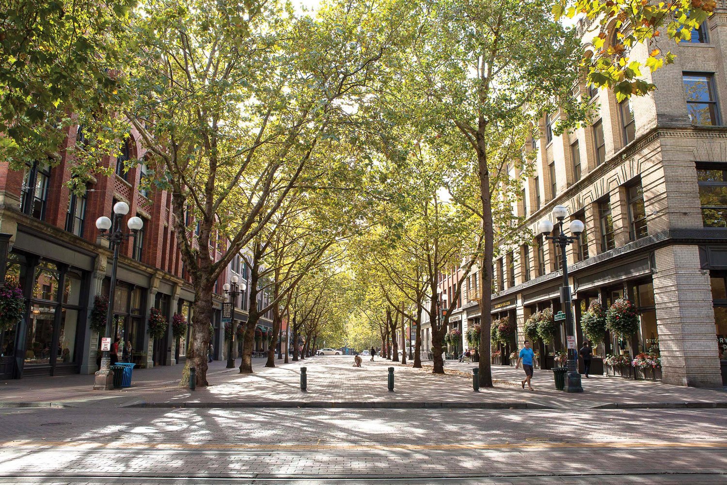 photo: Occidental Square, Olivia Brent