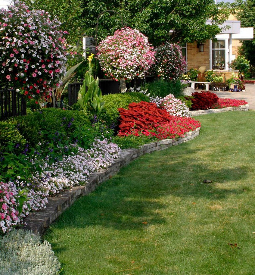 Partial shade plants deals