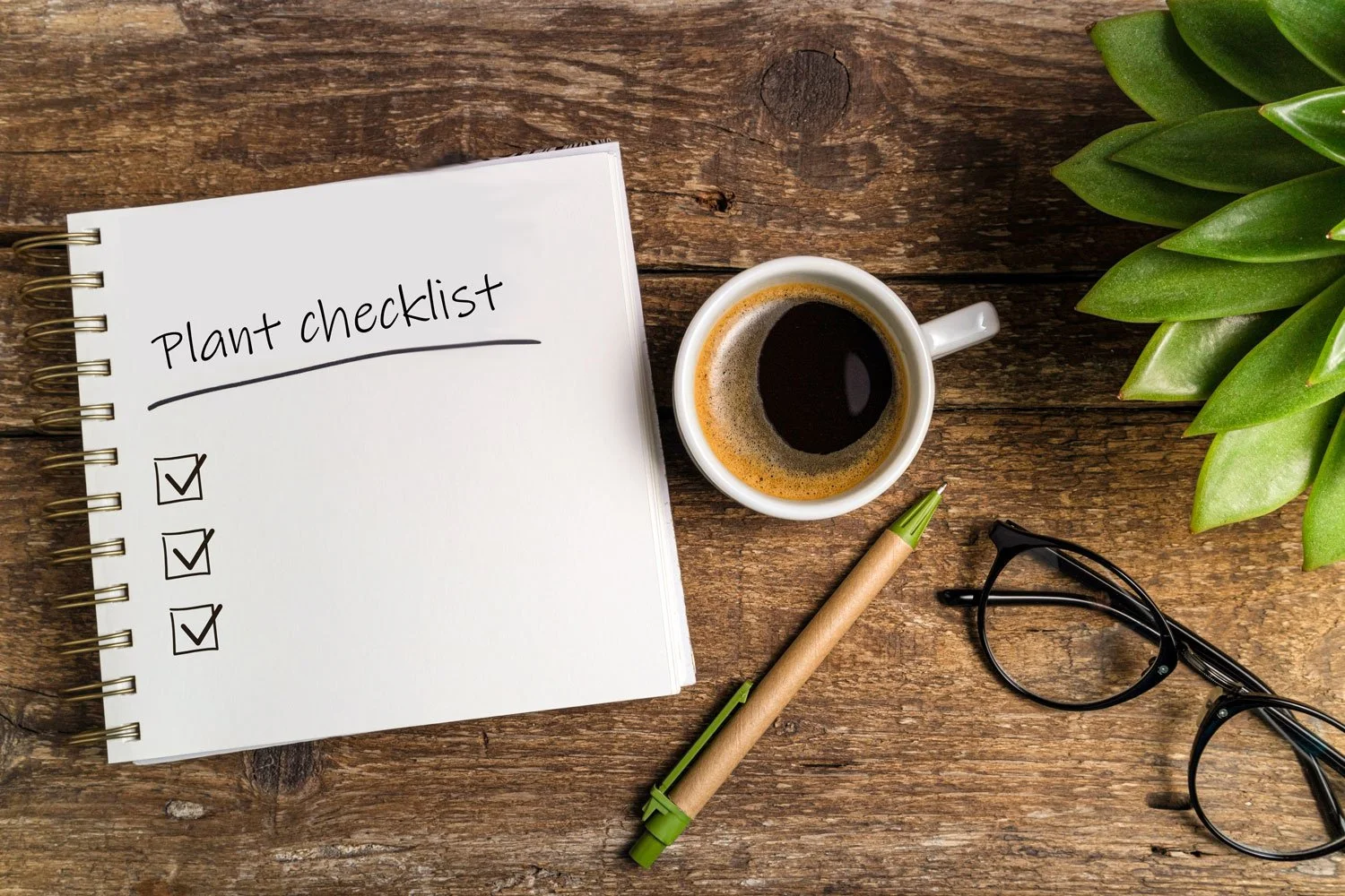Your Checklist for Fall and Winter Houseplant Care