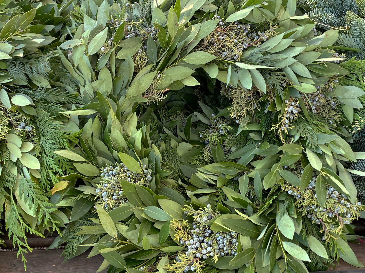 Fragrant Bay Wreath