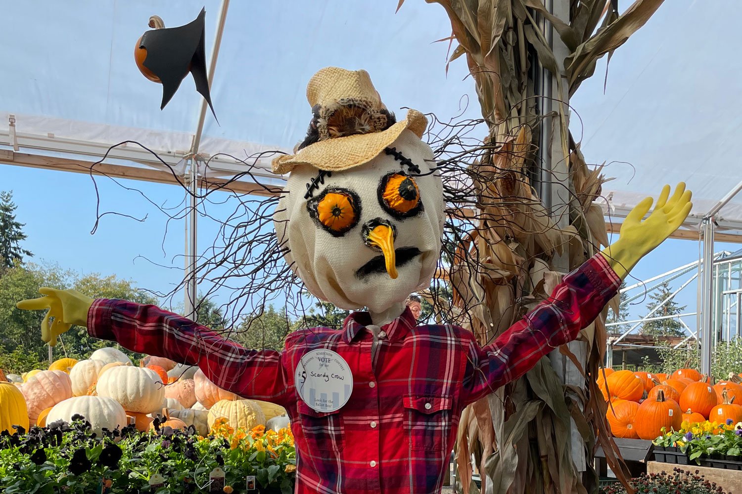 Scaredy-Crow-Scarecrow-by-Ruth.jpg