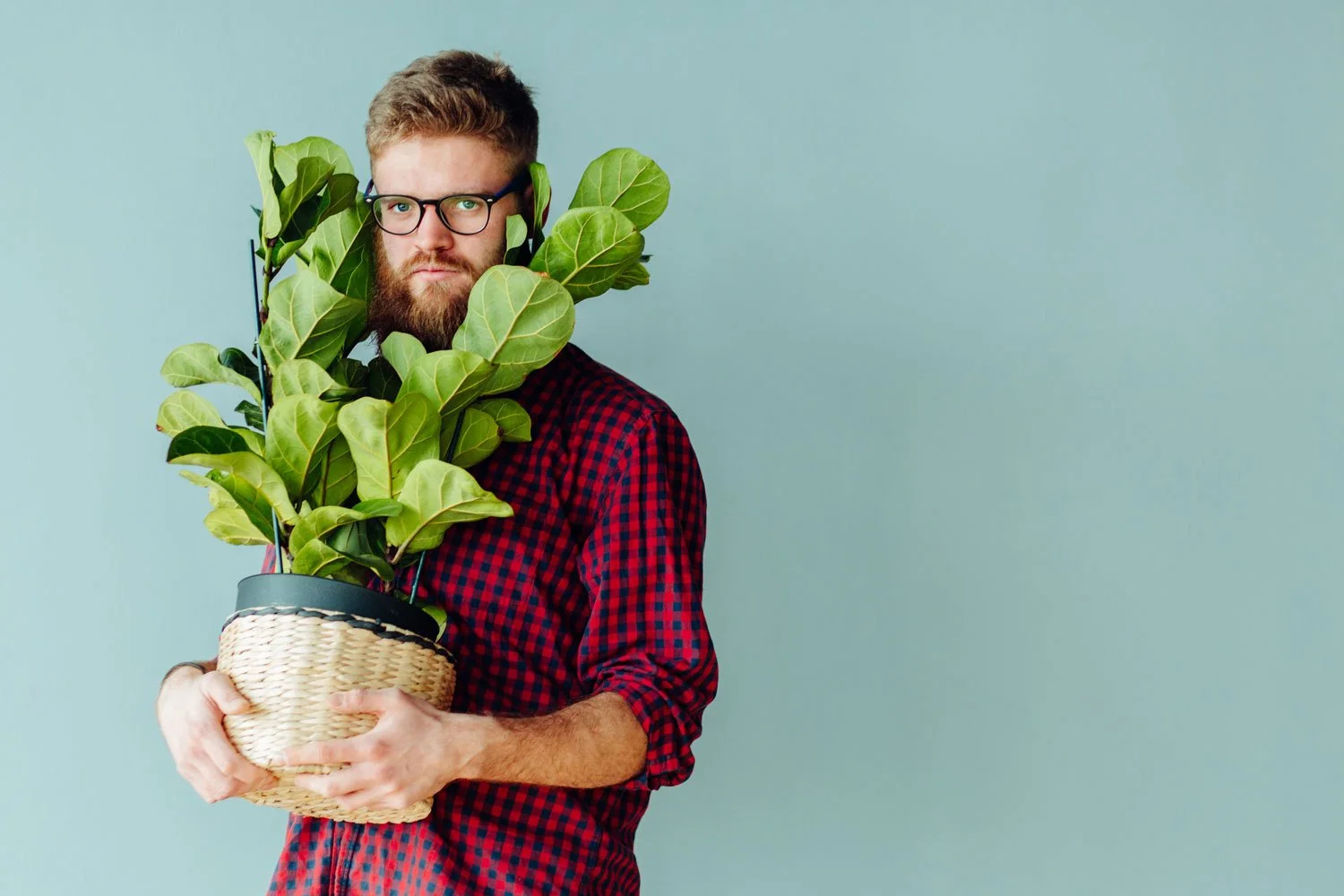 The Perfect Houseplant for Your Astrological Sign