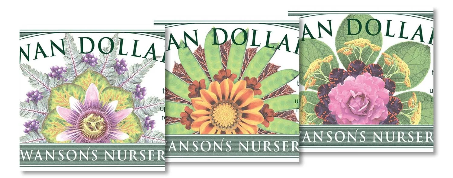 A Brief History of Swan Dollars
