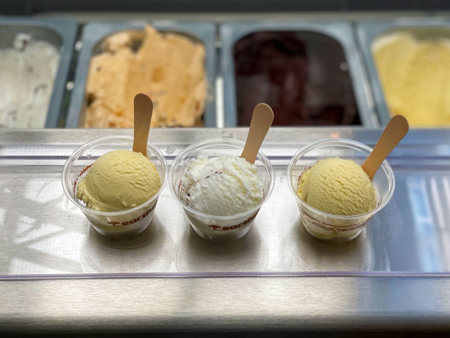 scoops-of-gelato.jpg