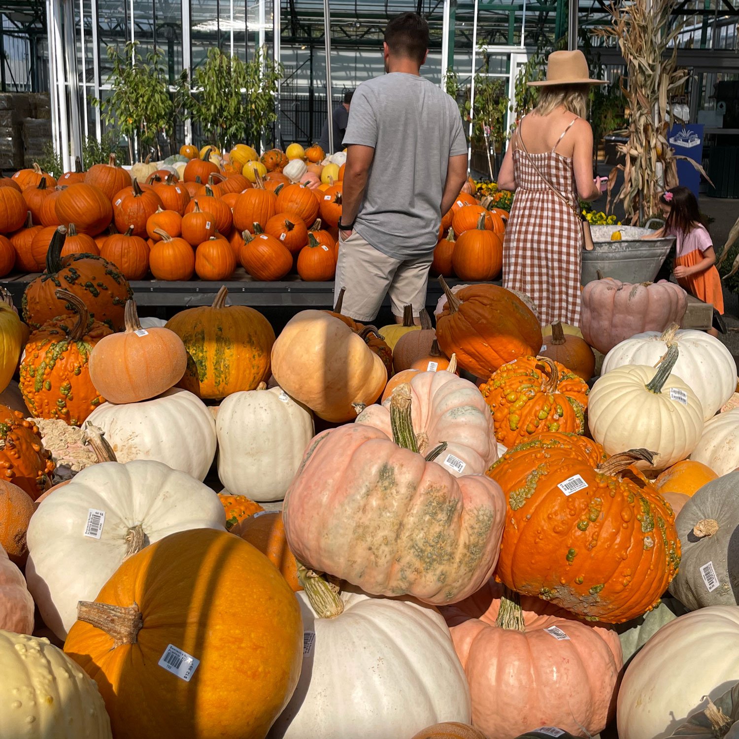 Family-shopping-for-pumpkins.jpg