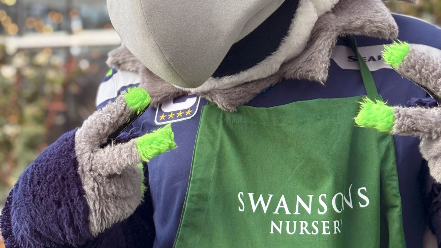 Seahawks-Mascot-Blitz.jpg
