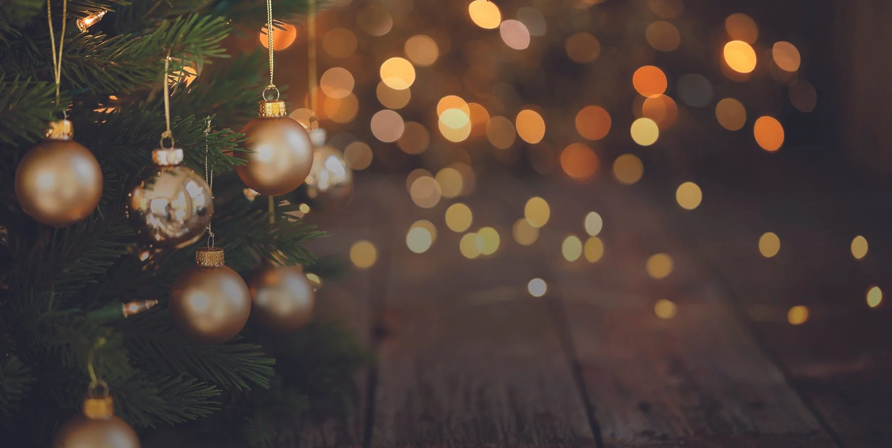   the perfect holiday gift    Swansons Gift Cards    available online  