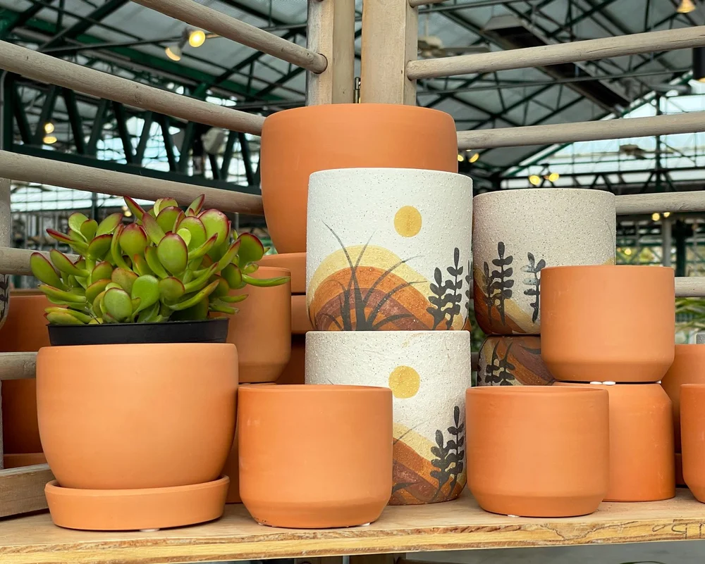 Pots for Indoor Plants  Seattle's Favorite Garden Store Since 1924 -  Swansons Nursery