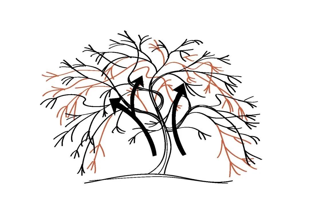 diagram_insideout_wpg2.jpg