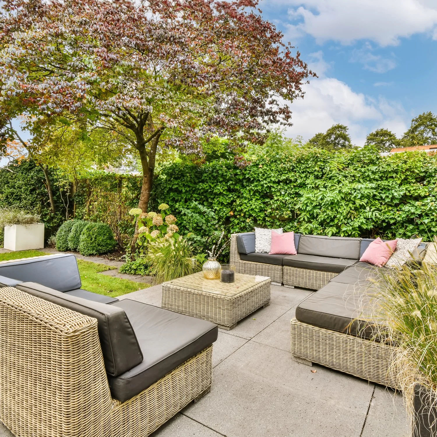 Planting for Beauty &amp; Privacy