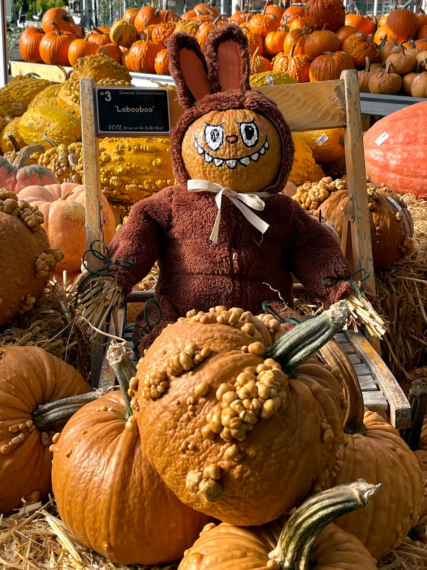 3.Labooboo.jpg