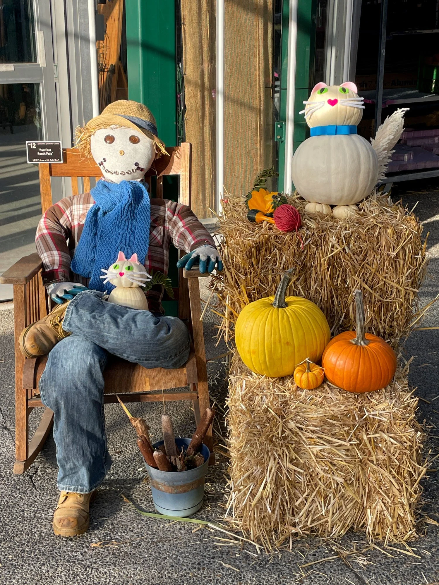 12.Purrfect-Porch-Pals.jpg