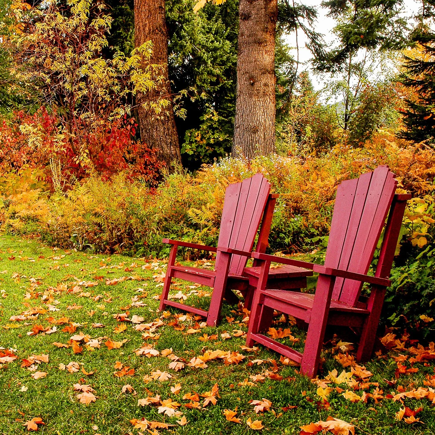   prep &amp; protect     November Gardening Tips    See Our Tips  