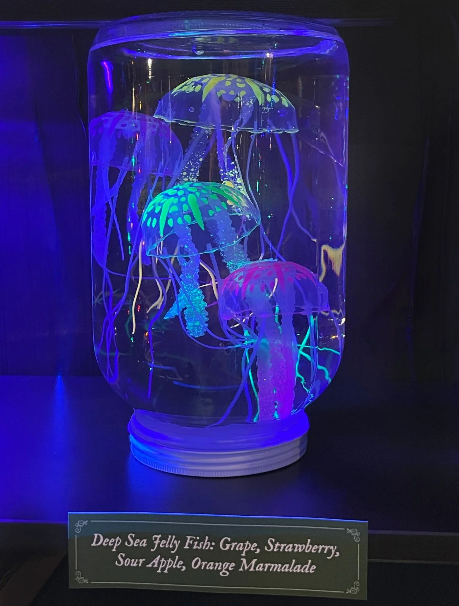 Deep Sea Jelly Fish