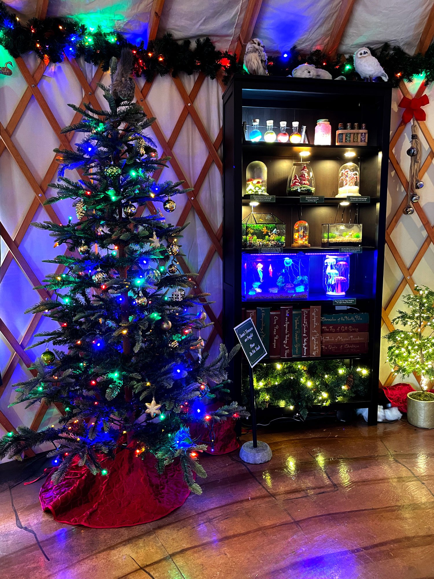 Santa's Bookcase of Treasures