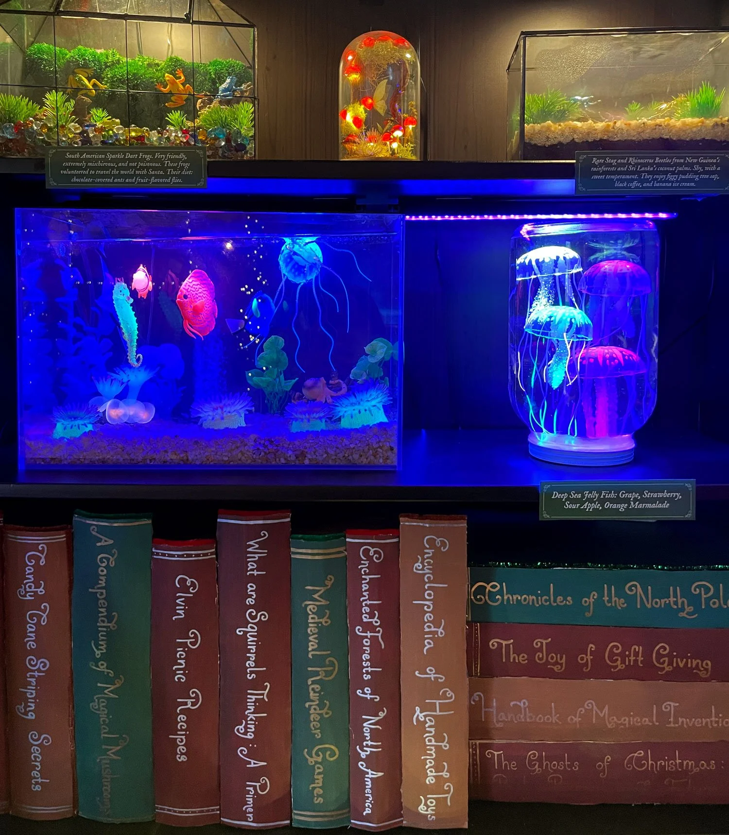 Terrariums, Aquariums &amp; Rare Books