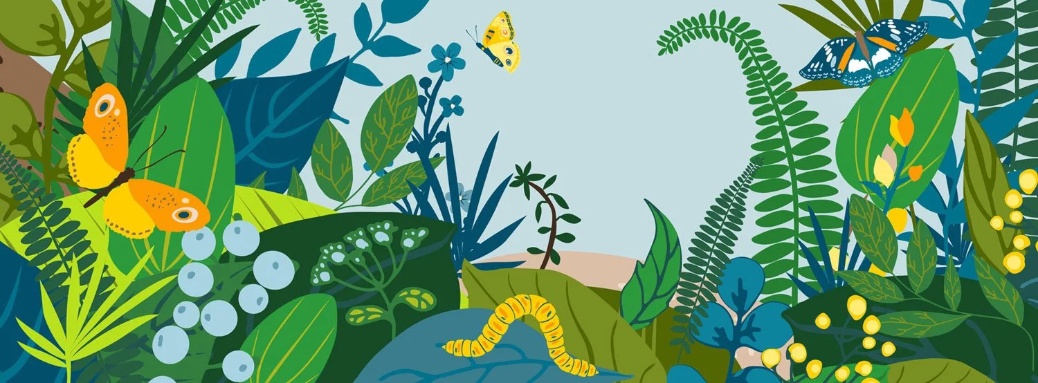   It’s time to garden!    Early Spring Sale    Learn More  