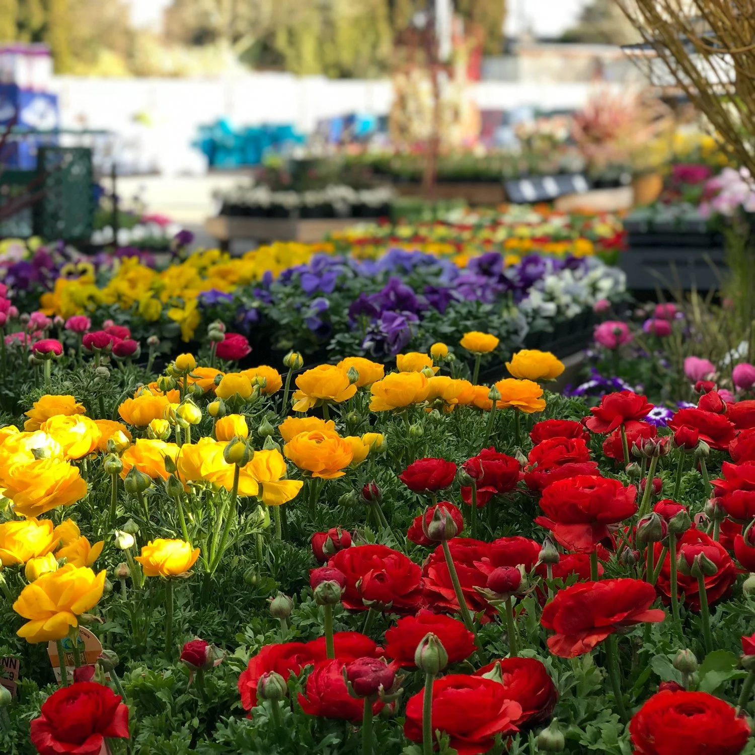   spring vibes are in the air    March Gardening Tips    See Our Tips  