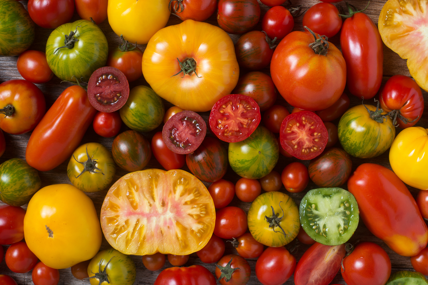 The Best Tomatoes to Grow in the PNW — Seattle's Favorite Garden