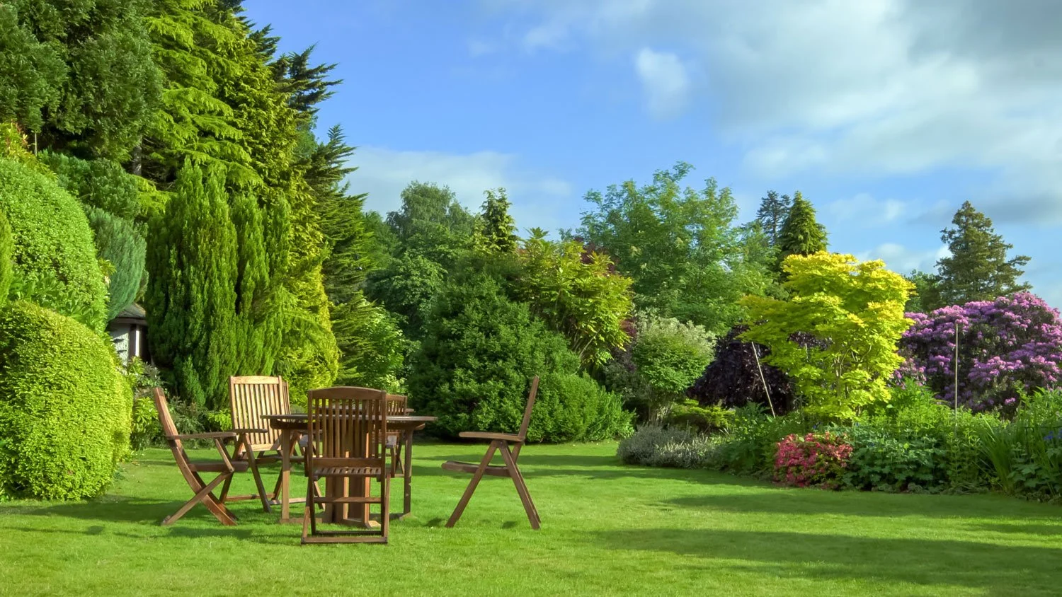  Here comes the sun!   June Gardening Tips    See Our Tips  