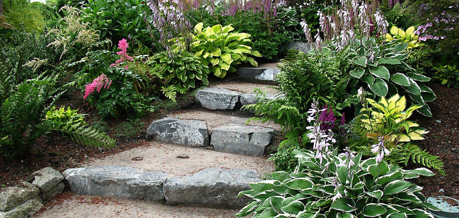 Designing Your Shade Garden