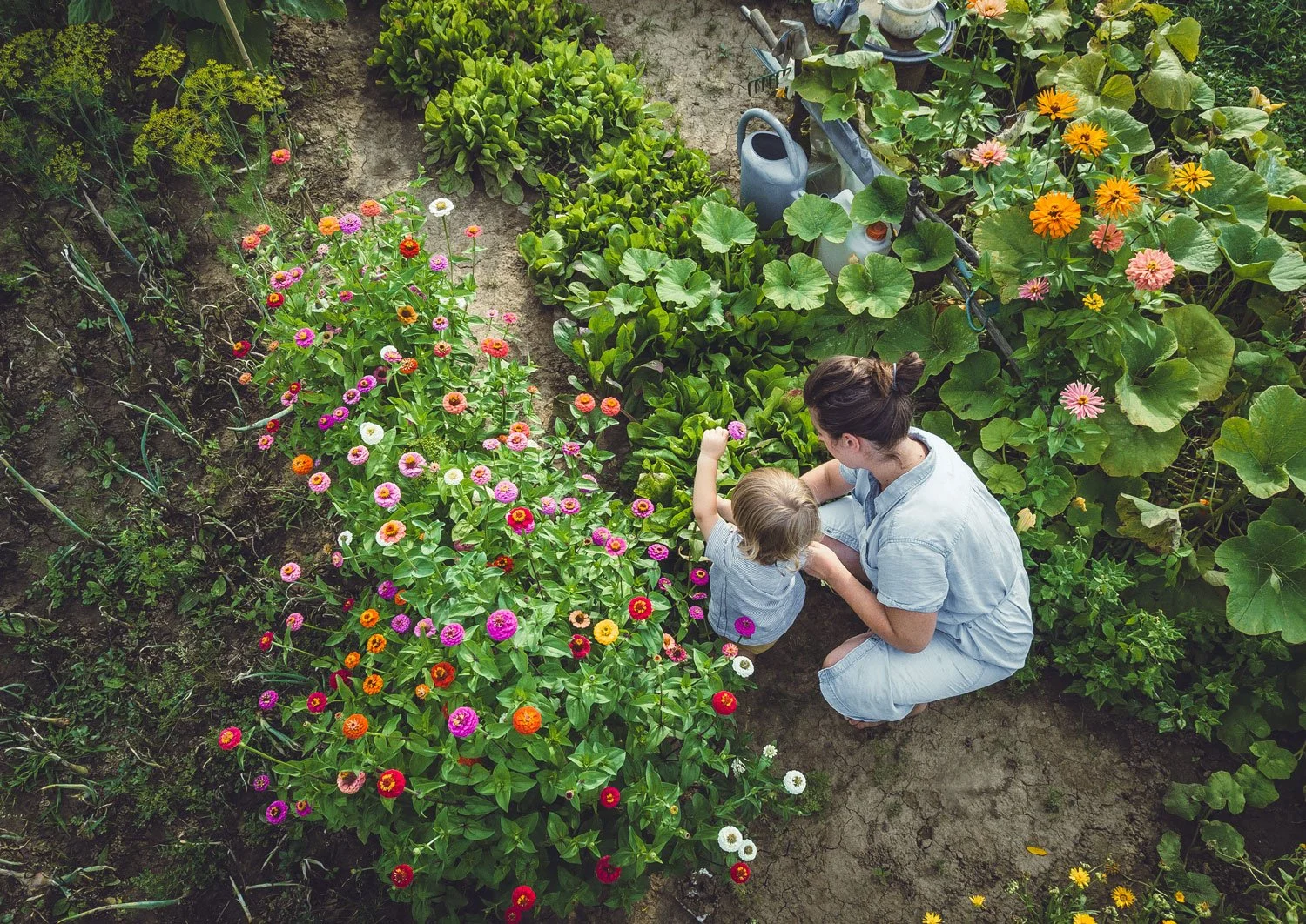  enjoy time together in the garden   July Gardening Tips    See Our Tips  