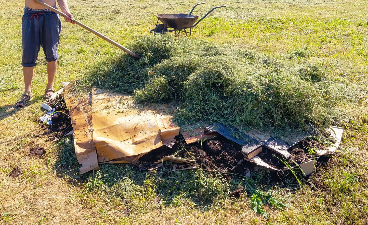 weeds_sheetmulching_AdobeStock_623010158.jpg