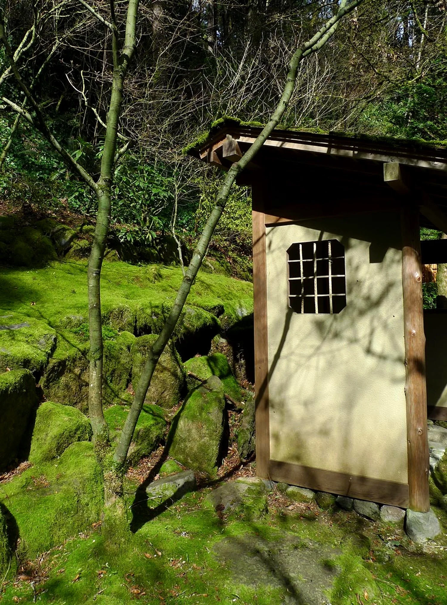 The Wabi-Sabi Garden