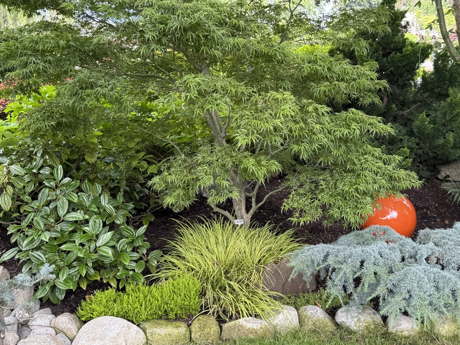 Achievable Inspiration From the West Seattle Garden Tour