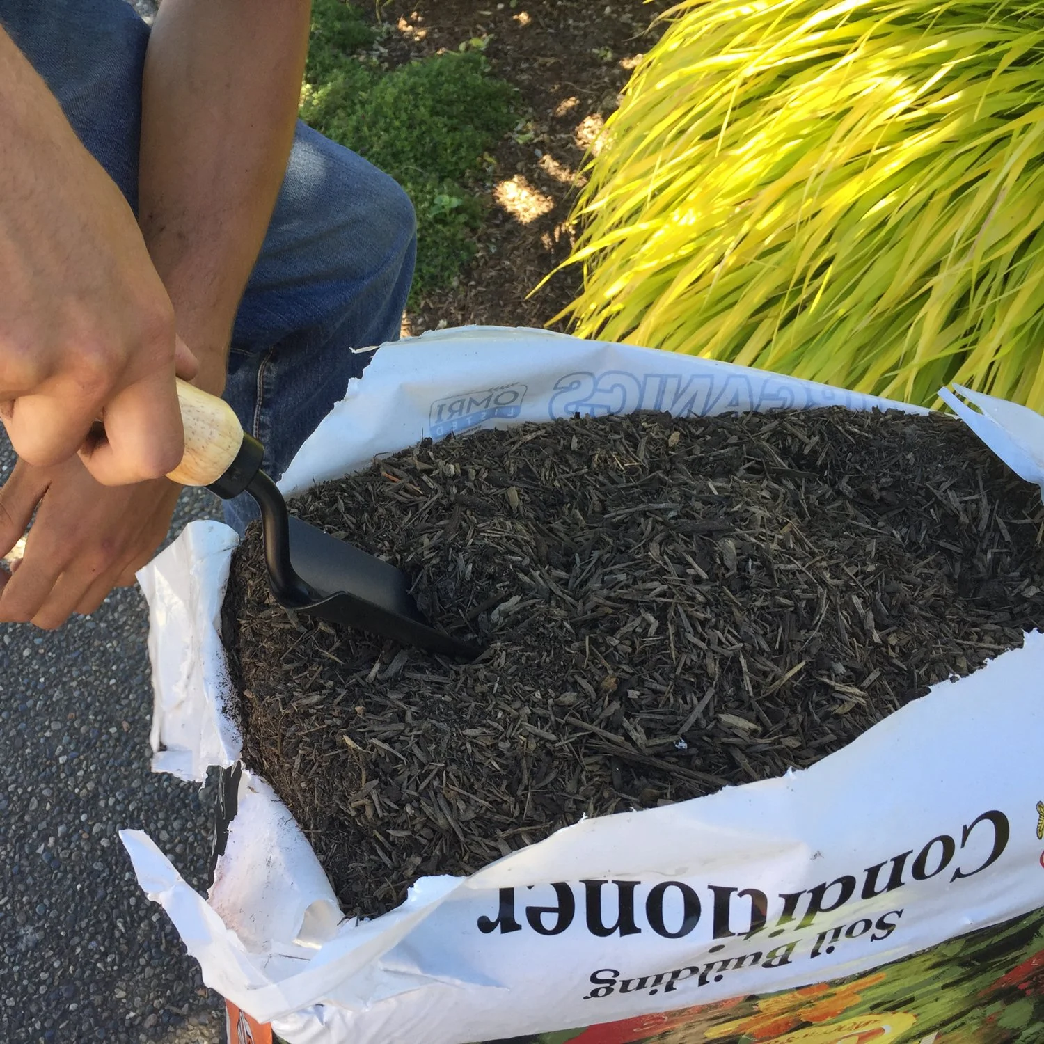   the magic below    Soil Building Conditioner    Buy 3 Get 1 Free  