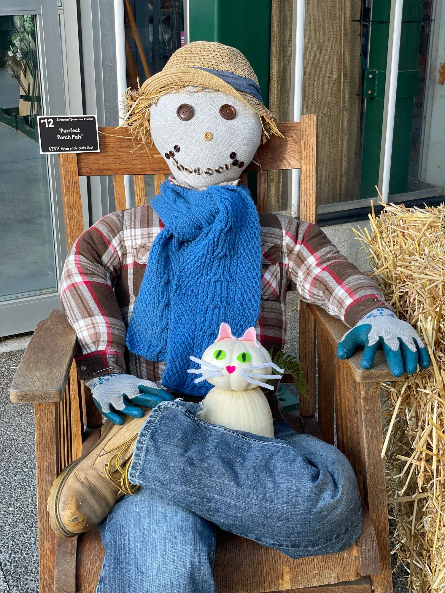 Purrfect-Porch-Pals-Close-Up.jpg