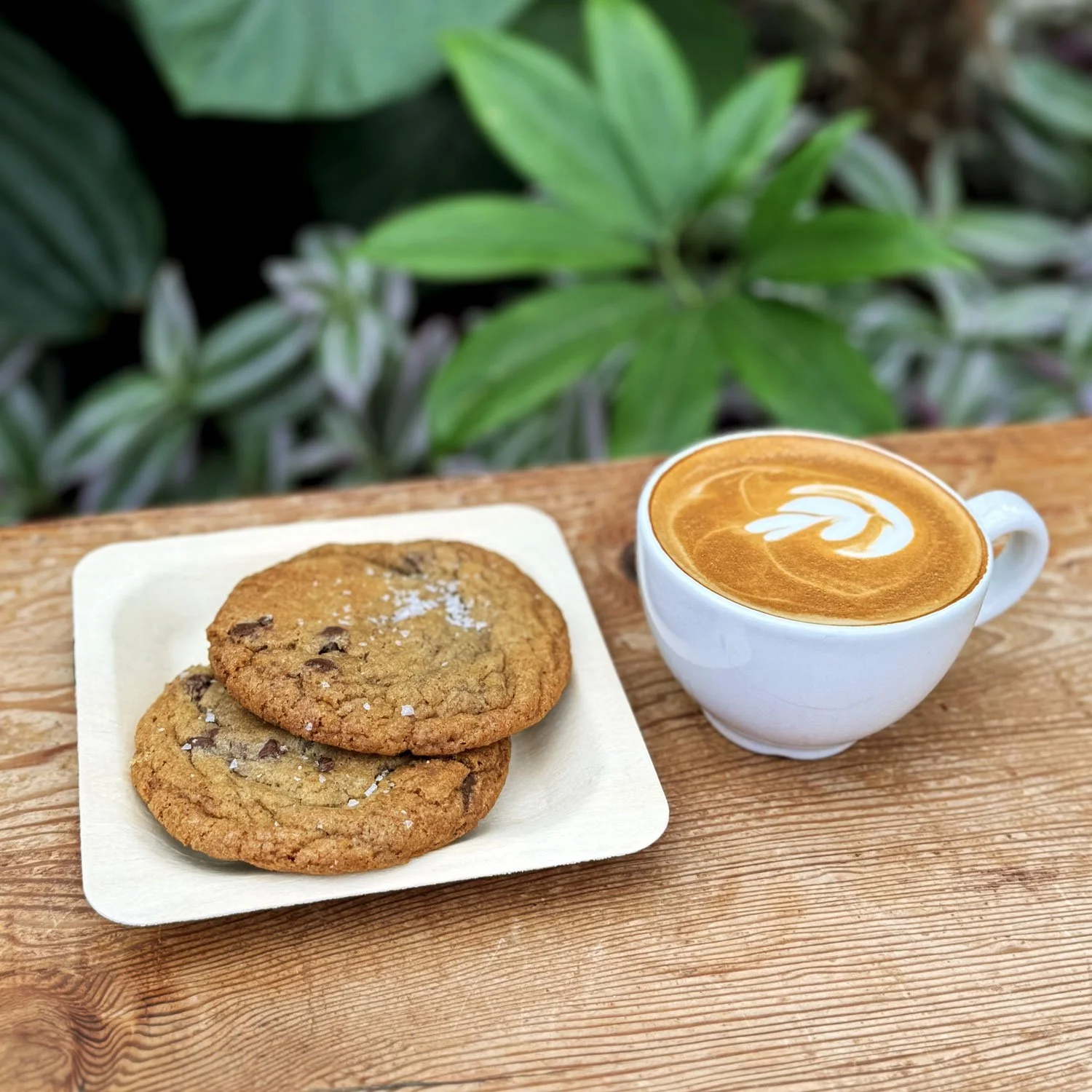 Latte-and-Chocolate-Chip-Cookies_high-contrast.jpg