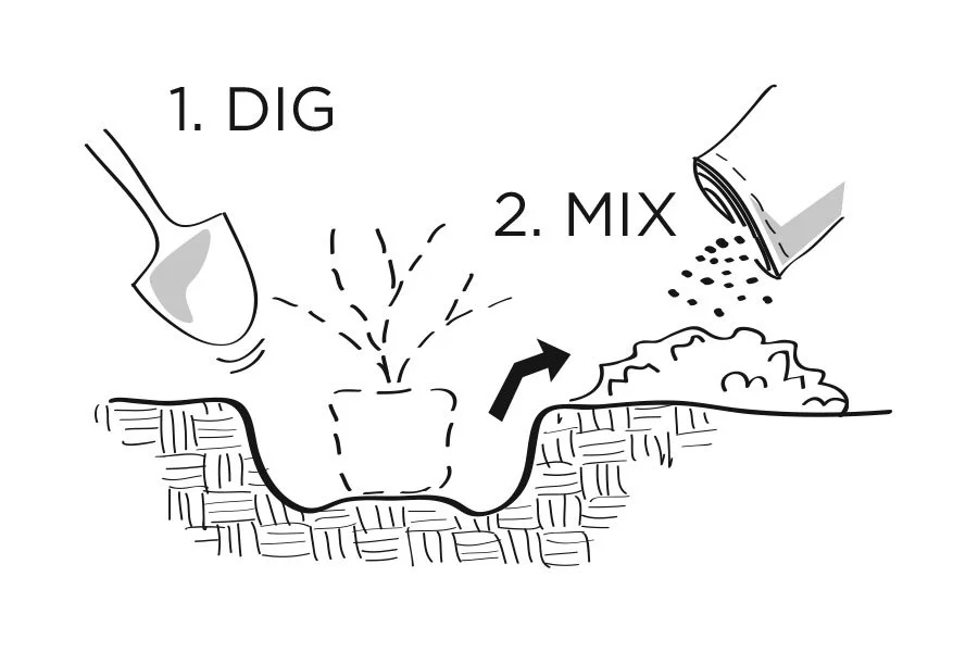 plantingdiag1-2_Swansons.jpg