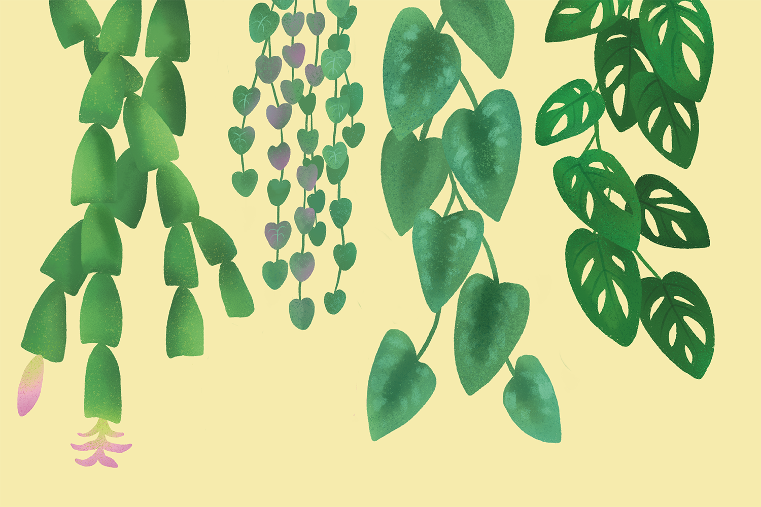 Indoor Plant &amp; Pottery Sale Starts October 3rd!
