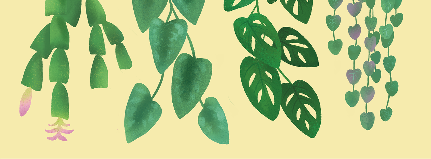   bring home a new friend    Indoor Plant &amp; Pottery Sale    begins Oct. 3  