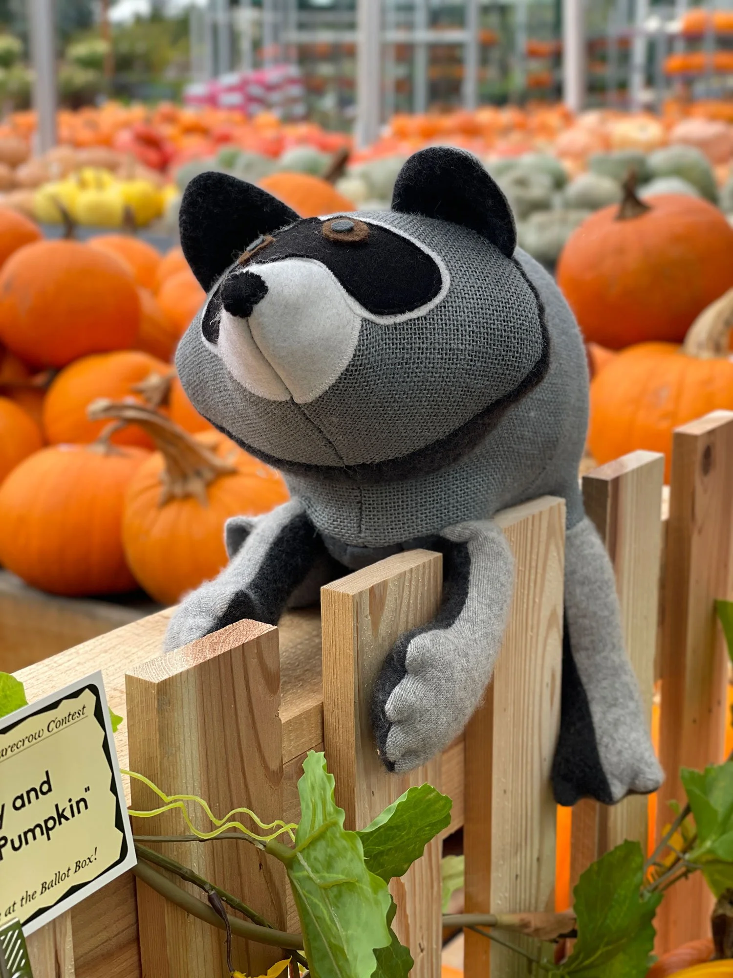 Jimothy &amp; the Giant Pumpkin - 2026