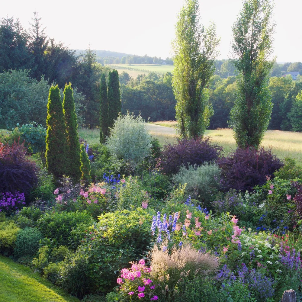 September Gardening Tips: what to do in the PNW garden in September —  Seattle's Favorite Garden Store Since 1924 - Swansons Nursery