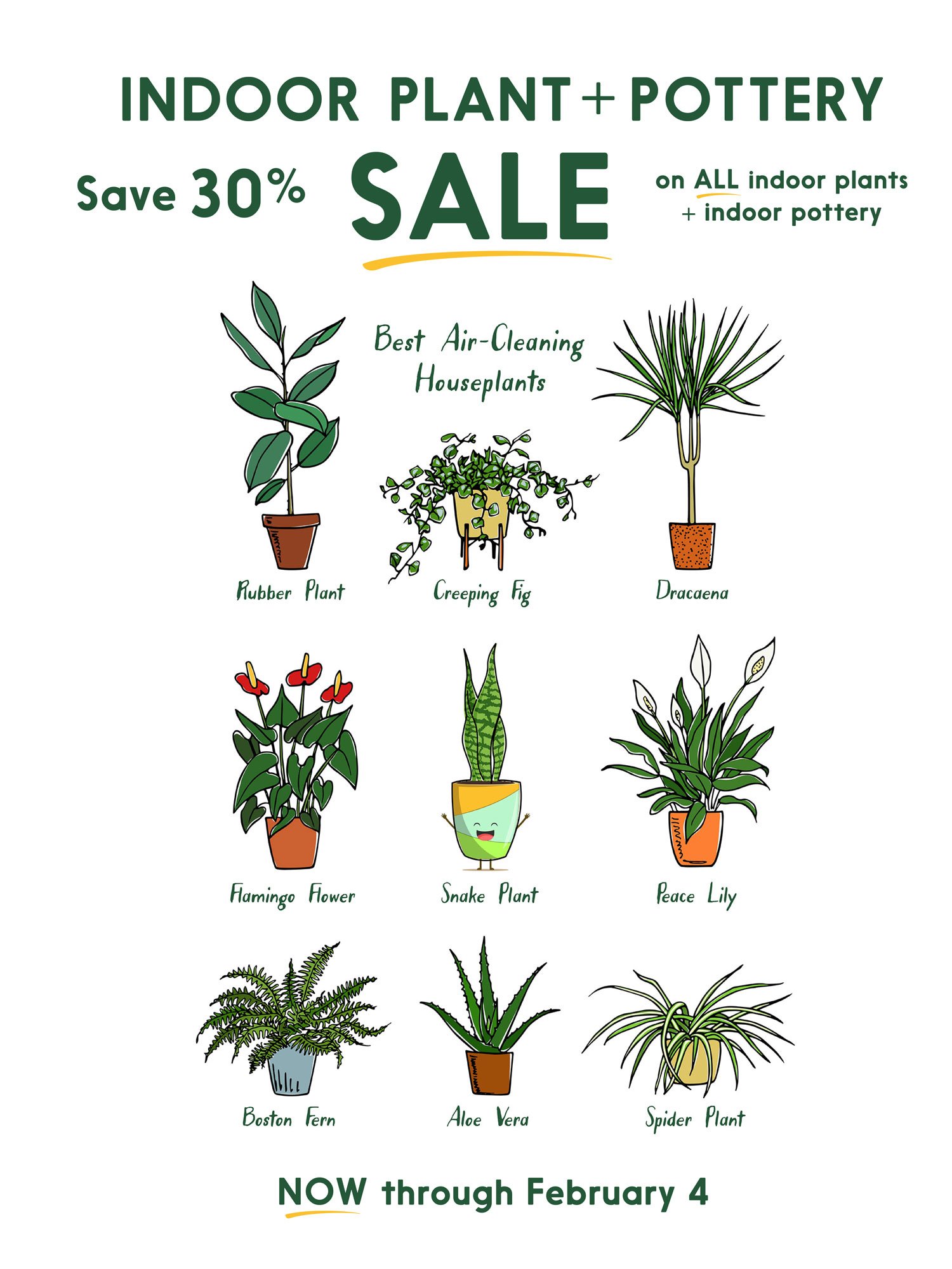 Indoor Plants & Pottery are on Sale! — Seattle's Favorite Garden Store