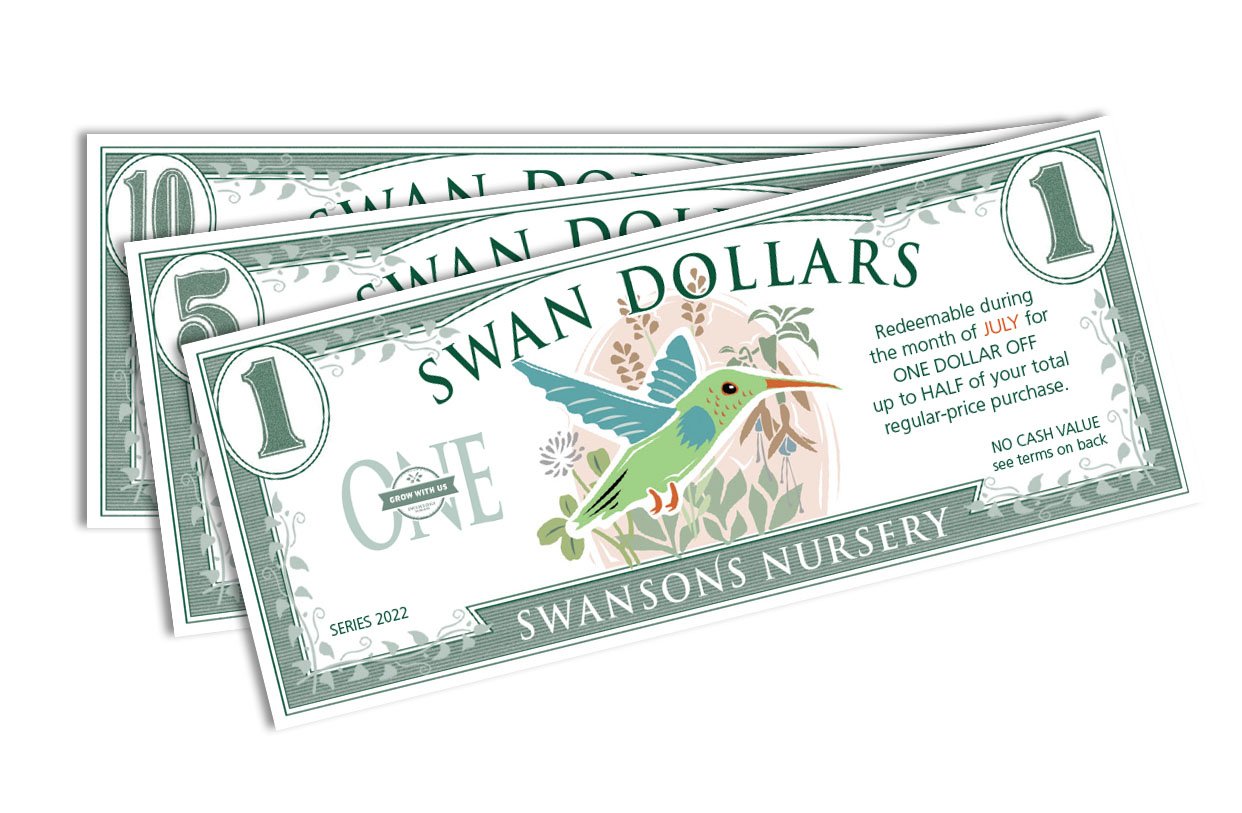 7 Things We're Buying With Our Swan Dollars — Seattle's Favorite