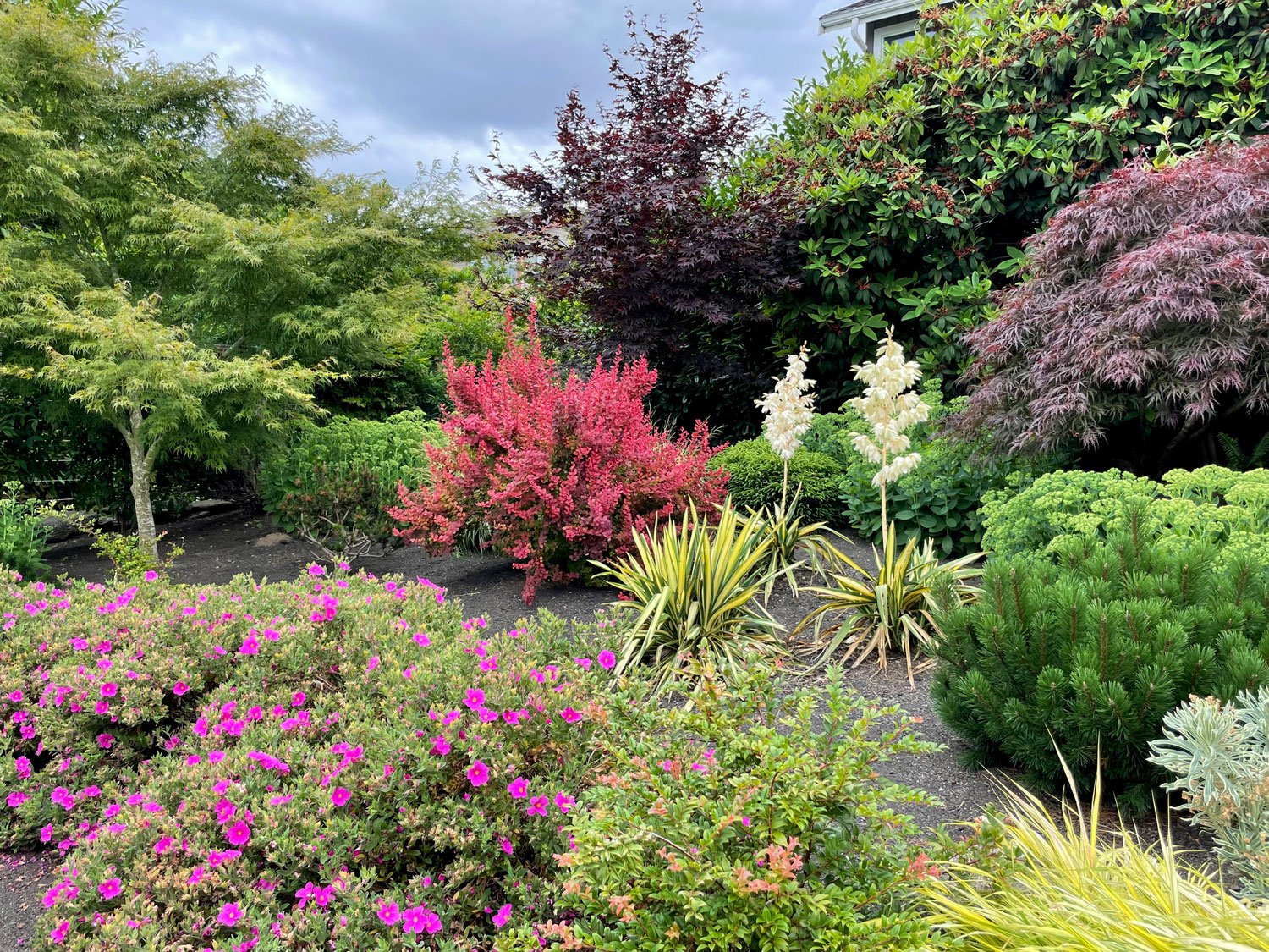 Coloring Pages for Kids — Seattle's Favorite Garden Store Since