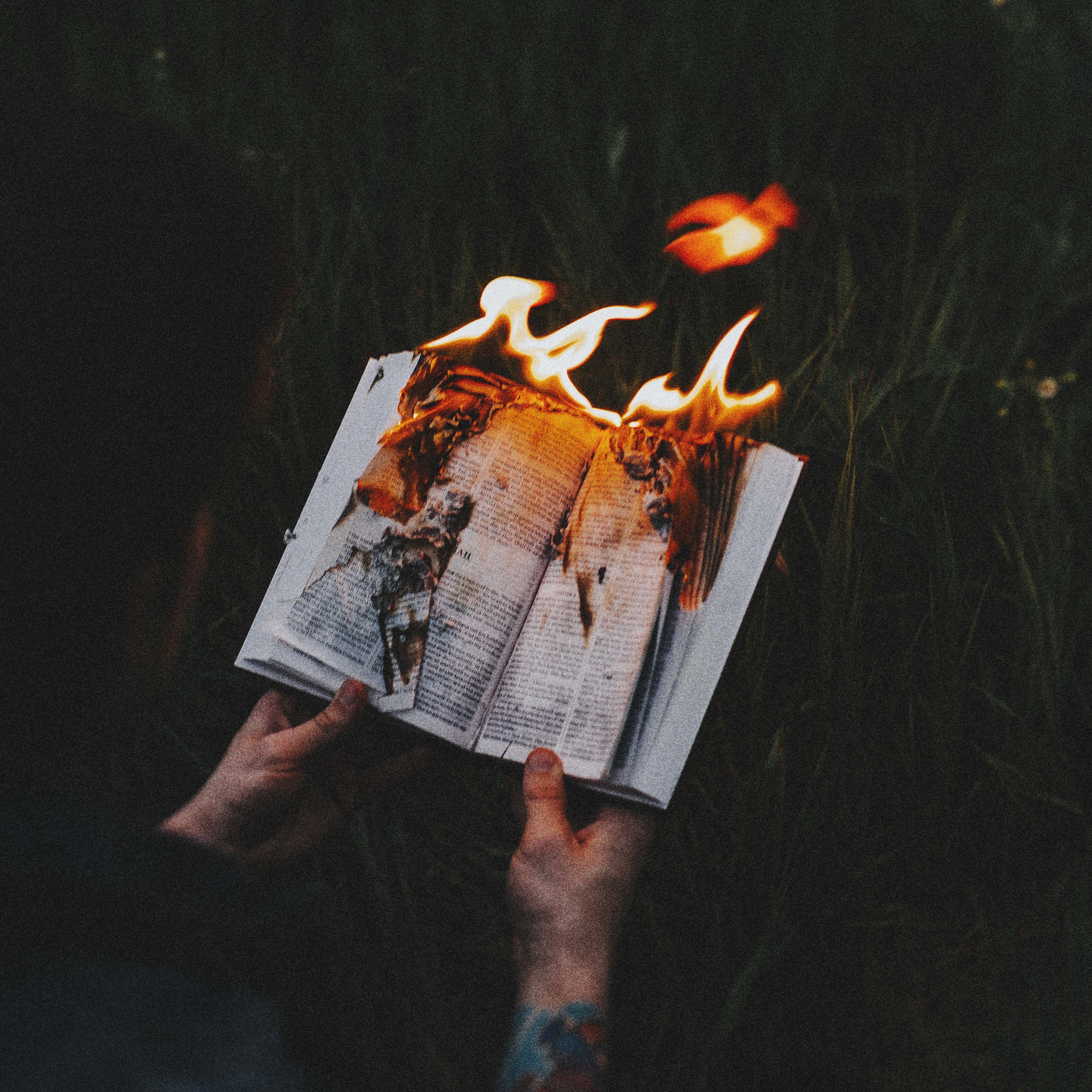 24. (Week 53) Josh Haider | Bible Burning [June 2016].jpg