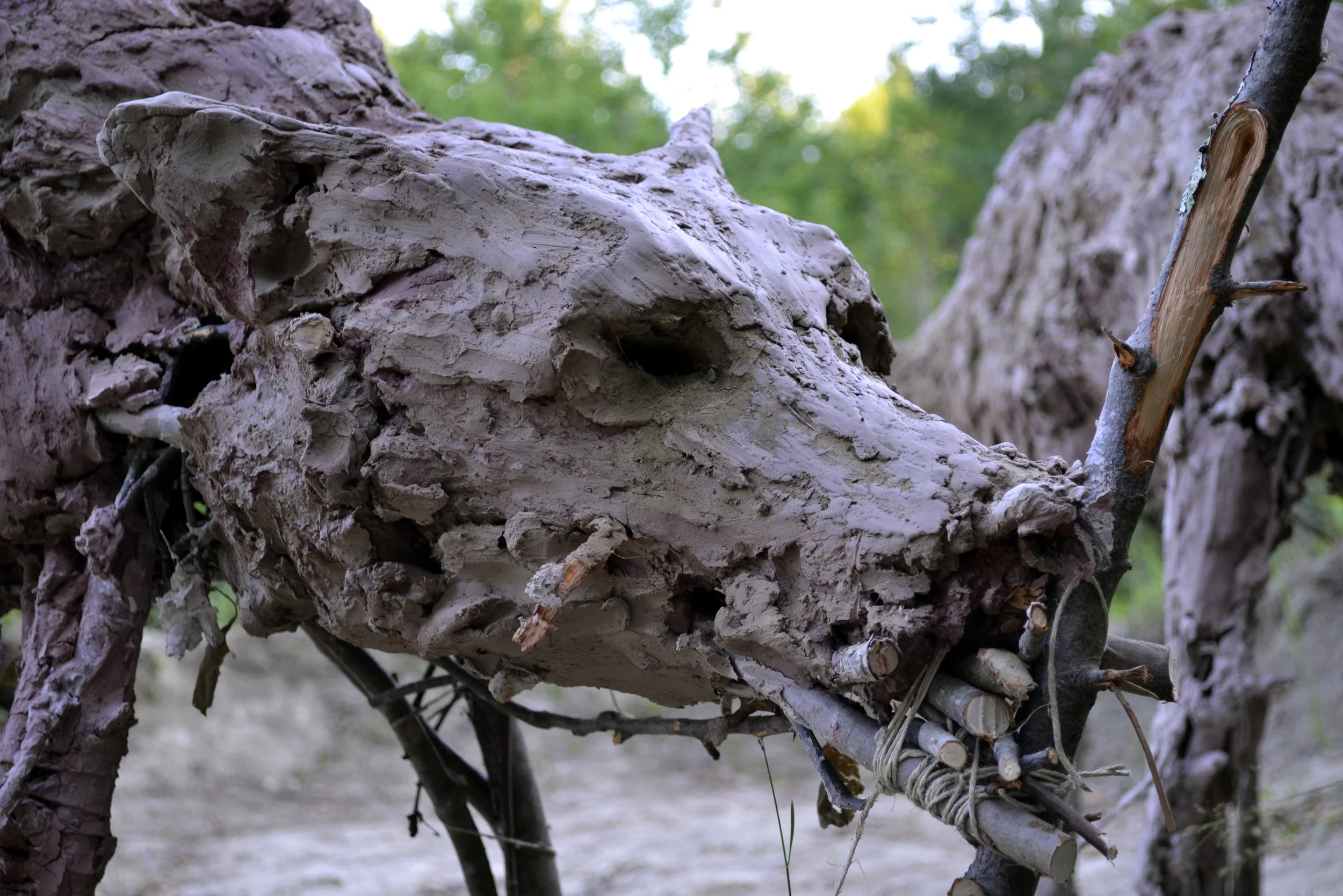 Detail of Watershed Wolves