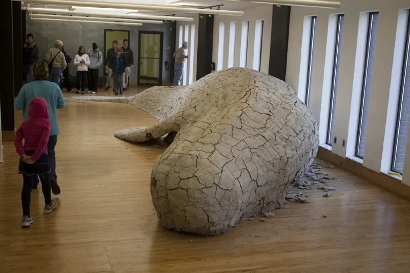 GR Whale2.jpg