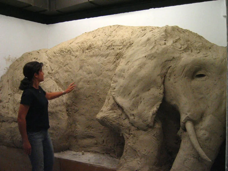 1.Elephant in gallery.jpg