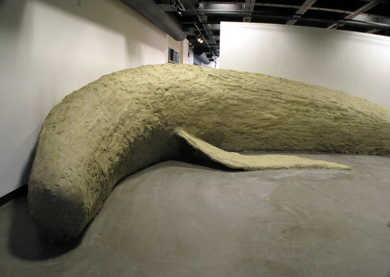 cypresswhale8003.jpg