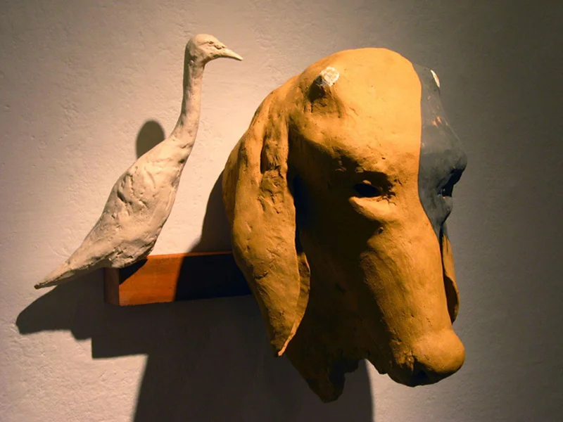 14.Symbiotic8001.jpg