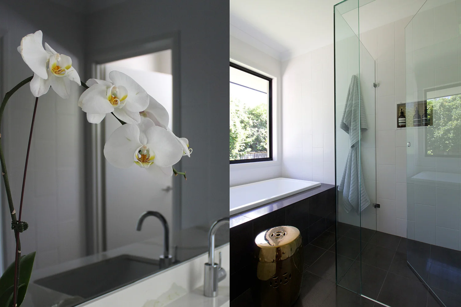 an image_3 su edit.jpg