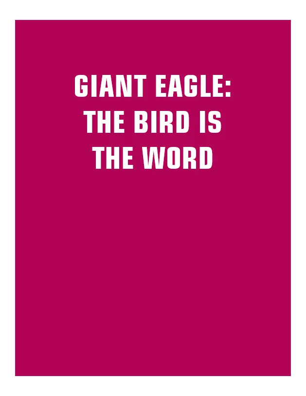 Copywriting-ThumbnailsGiantEagleTheBird.jpg