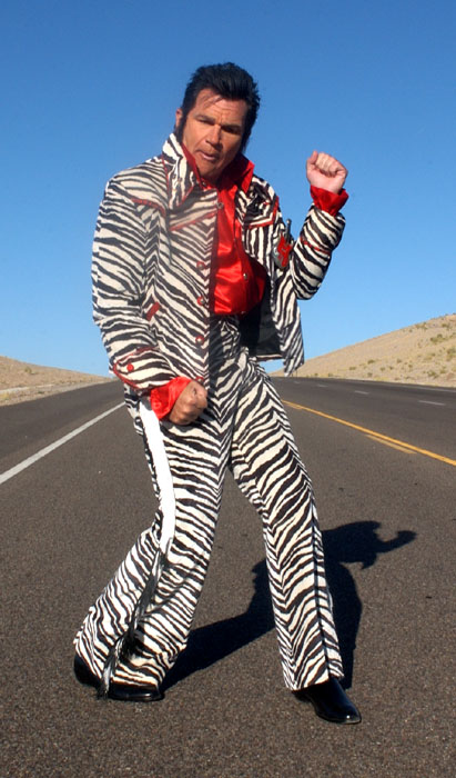 ELVIS HAS LEFT THE BUILDING - David Leisure