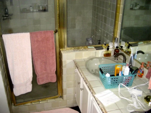 BEFORE - Master Bathroom #1